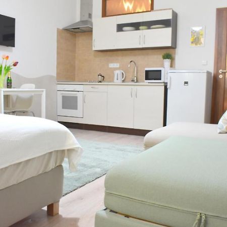 Prague City Centre Apartment Kültér fotó